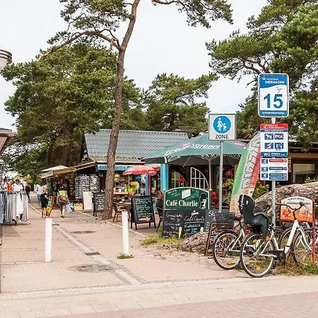 Drei Akazien 3 Neuhaus (Mecklenburg-Vorpommern)